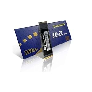 TwinMOS 256GB NGFFEGBM2280 M.2 2280 SATA3 SSD (580Mb-550Mb-s) 3DNAND Ssd Disk