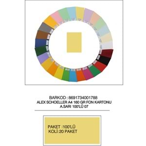 Alex Schoeller Fon Kartonu 160 GR A4 07 A Sarı (1 Adet)