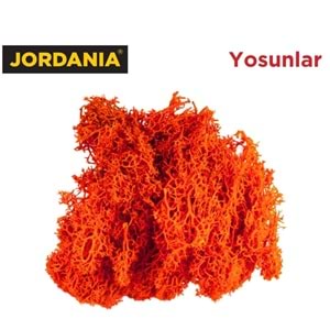 Jordania Yosun 4066 Turuncu 10 Gr JE00-0504066 (Maket Ürünüdür)