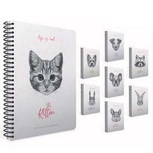Gıpta Lıfe Is Cool Spiralli Sert Kapak Defter 19x26 120 Yp Kareli