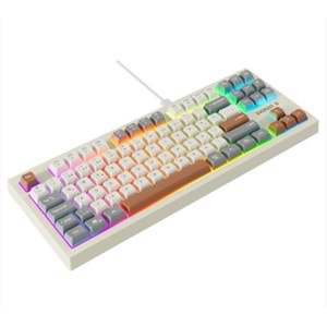 Everest KB-98 SILENT TKL Gri-Gri Mavi-Kahve Rainbow Q Membrane Klavye