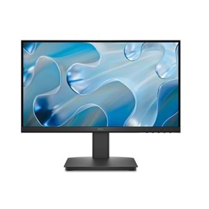 Dell 22