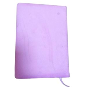 Mikro Günlük Defter Capybara Scaly Gn-646
