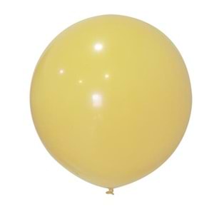 Balonevi Balon 24