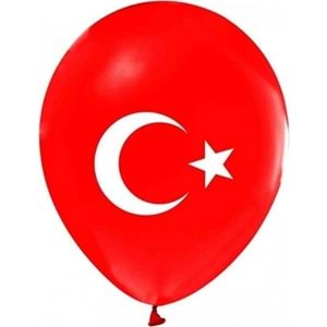Balonevi Balon 1+1 Ayyıldız Baskılı 12