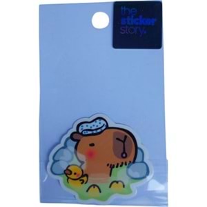 Ekstrafix The Sticker Story Tss0032
