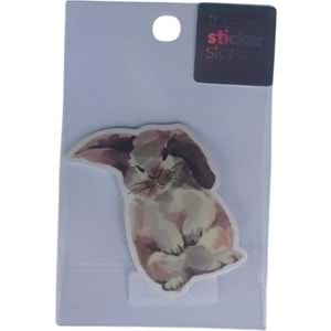 Ekstrafix The Sticker Story Tss0041