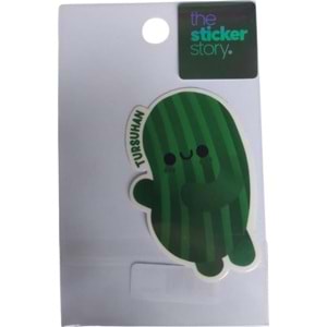 Ekstrafix The Sticker Story Tss0062