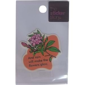 Ekstrafix The Sticker Story Tss0092