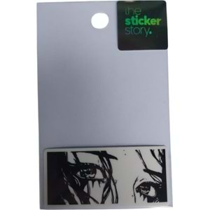 Ekstrafix The Sticker Story Tss0109