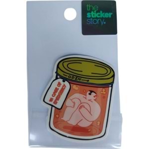 Ekstrafix The Sticker Story Tss0126