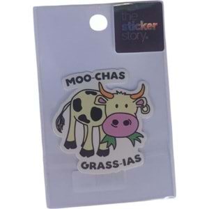 Ekstrafix The Sticker Story Tss0129