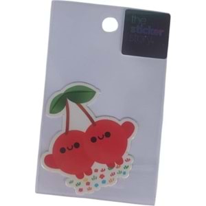 Ekstrafix The Sticker Story Tss0165