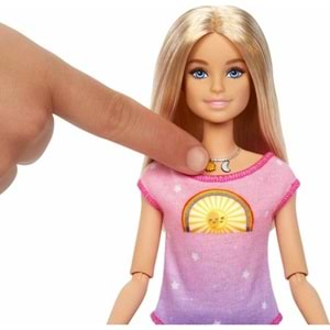 Barbie Meditasyon Yapıyor Oyun Seti HHX64