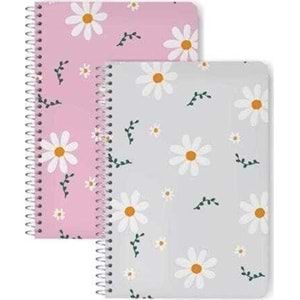 Elma Papatya Serisi Spiralli 17x24 120 YP Düz