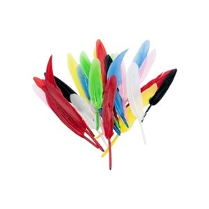 Neon KuşTüyü 20cm 10 lu HKD-109