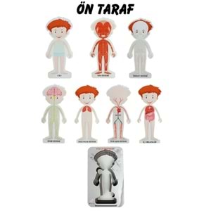 Gift Plus Ahşap Vücut Sistemleri 12x20 8 li