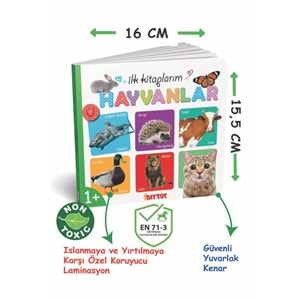 Dıy Toy İlk Kitaplarım Seti 6lı