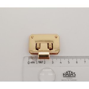 Çanta Aksesuar Light Gold Renk Dilli Kilit