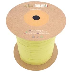 Çanta Aksesuar Milano Rafya Neon Yeşil Renk 100 gr