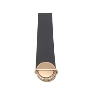 Çanta Aksesuar 18x4 cm Tek Kat Suni Deri Siyah Renk Kapak No:2 Light Gold Metal