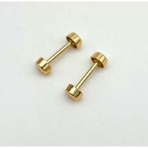 Çanta Aksesuar 3 Cm Vidalı Böce Light Golden Renk (Halter) 2 Adet