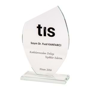 ONAT KRİSTAL PLAKET