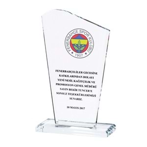 ÖNDER KRİSTAL PLAKET
