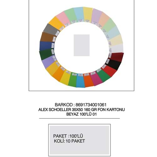 Alex Schoeller Fon Kartonu 160 GR 35x50 01 Beyaz (1 Adet)