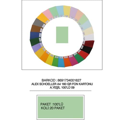Alex Schoeller Fon Kartonu 160 GR A4 09 A Yeşil (1 Adet)