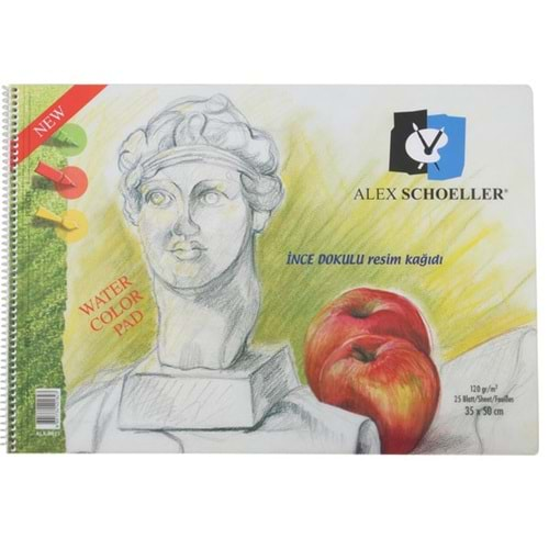 Alex Schoeller Resim Defteri Spiralli Şeffaf Kapak 120 Gr 35X50 25 Syf.Alx-0823