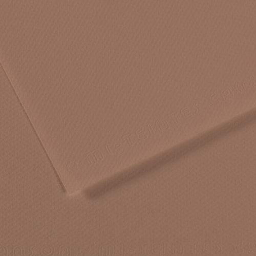 Canson Fon Kartonu (Dokulu) Mı-Teıntes Sh Canmt 50x65 160 GR Brown 188(1 Adet)