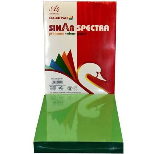 Sınar Renkli Fotokopi Kağıdı 250 Lİ A4 80 GR Pastel Yeşil (Asparagus) 41A