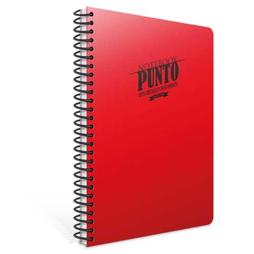 Gıpta Spiralli Defter Punto Plastik Kapak Çizgili 100 YP A4 3-6536000-2011