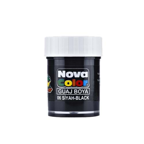 Nova Color Guaj Boya Şişe 12 Lİ Siyah NC-108