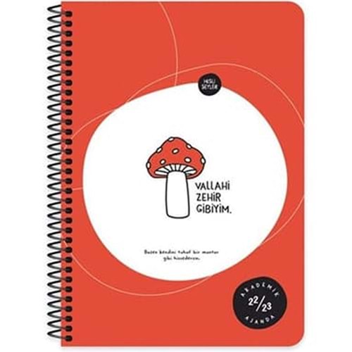 Hisli Şeyler Spiralli Kar.Kapak Zehir Gibiyim 18,5x25 80 YP Çiz.