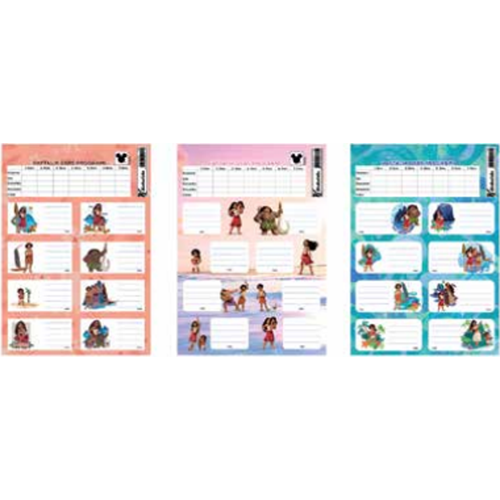 Moana Ders Programlı 3 Lü Etiket