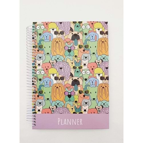 Liz Ayraçlı Planner 12x17 AJT02