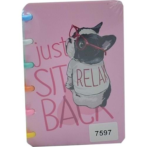 Unick Color Not Defteri Free Dogs Renkli Halkaa6 7597