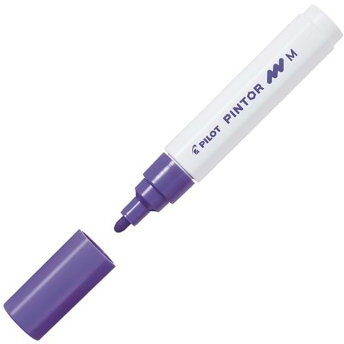 Pilot Pintor (M) Mor Pilot Pintor (M) Mor Sw-pt-m-v (1 Adet)