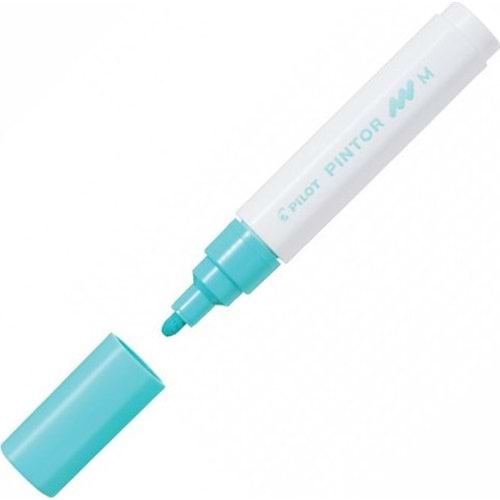 Pilot Pintor (M) Pastel Yeşil Sw-pt-m-pg (1 Adet)