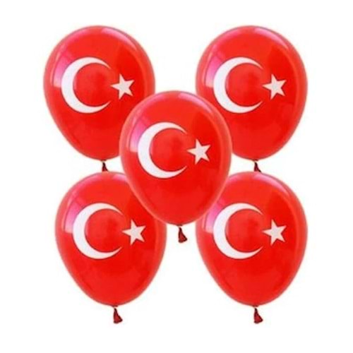 Balonevi Balon 1+1 Ayyıldız Baskılı 12