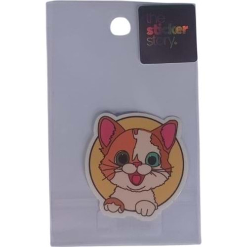 Ekstrafix The Sticker Story Tss0004