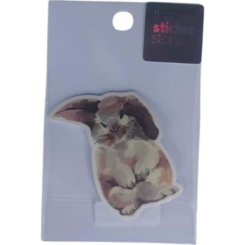 Ekstrafix The Sticker Story Tss0041