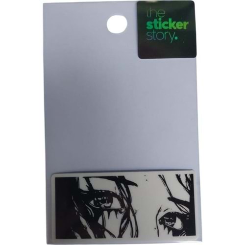 Ekstrafix The Sticker Story Tss0109