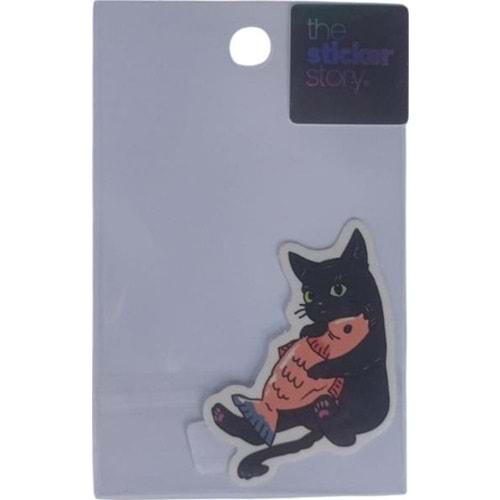 Ekstrafix The Sticker Story Tss0163