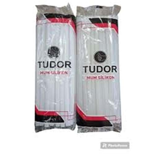 Tudor Macrofix Mum Silikon Kalın 1KG