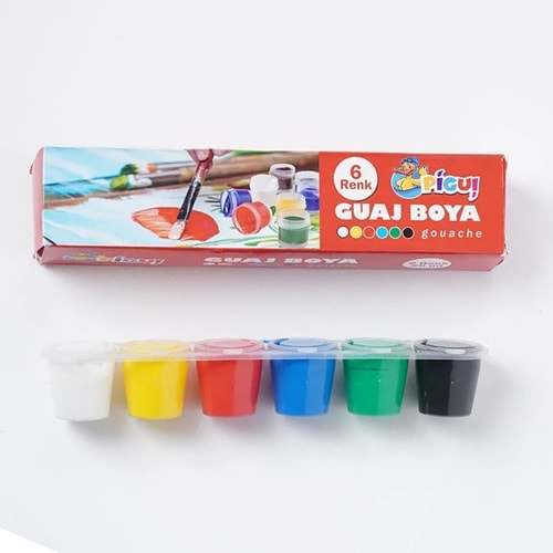 Pigui Guaj Boya 6 Lı 25 Ml Pggb-55