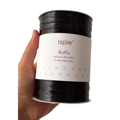 Çanta Aksesuar İspie Rafya 226A Parlak Siyah Renk