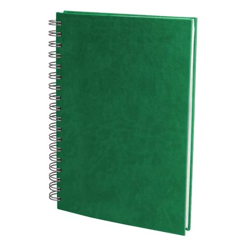 ALTINDAĞ YEŞİL KARELİ TARİHSİZ DEFTER (17X24 CM)
